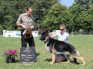 Dante - 4th place 2015 Se Futurity