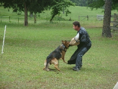 Edgar working 